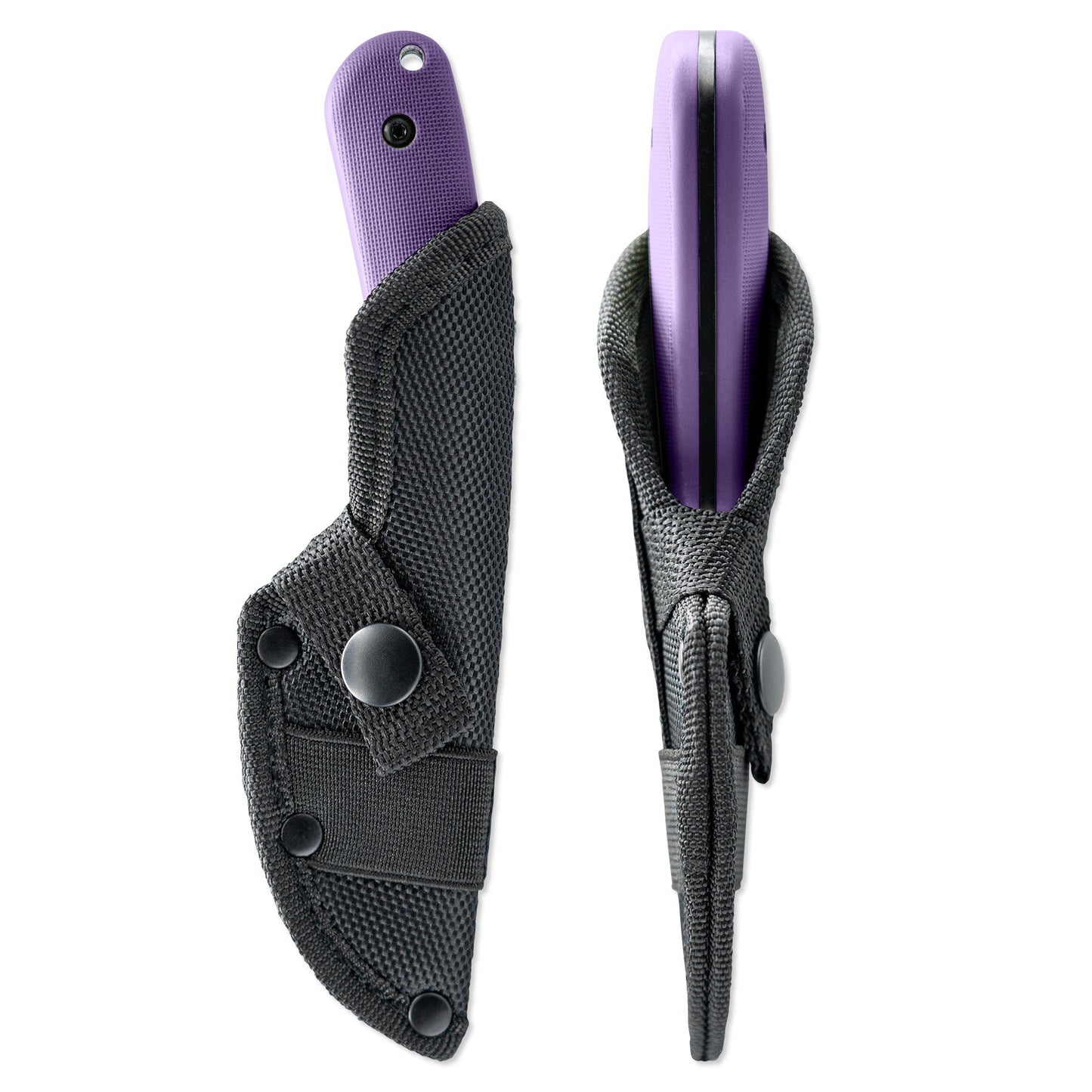 Scorpion - Purple-2