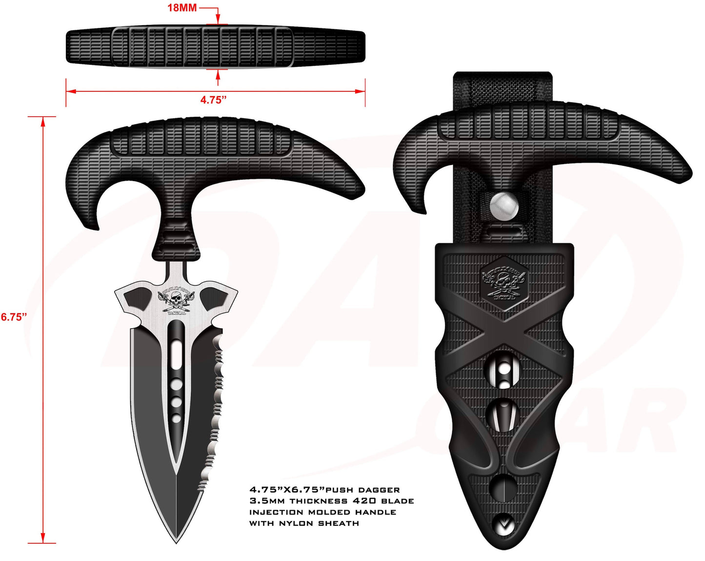 Shark Tooth-1